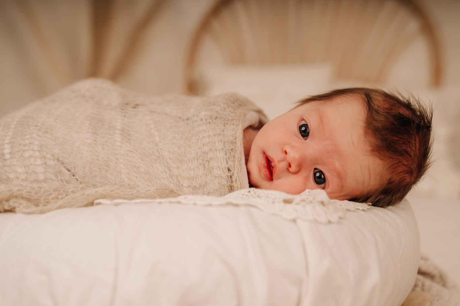 A7II_SR_1215